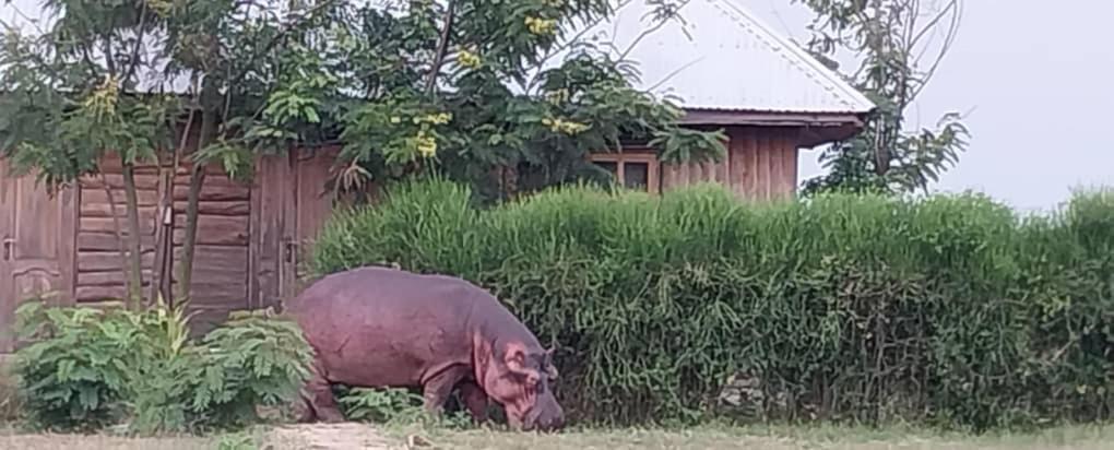 Tembo Safari Lodge Katunguru エクステリア 写真