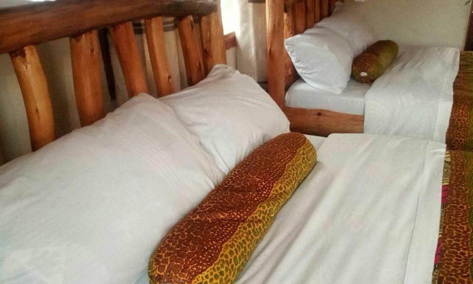 Tembo Safari Lodge Katunguru エクステリア 写真